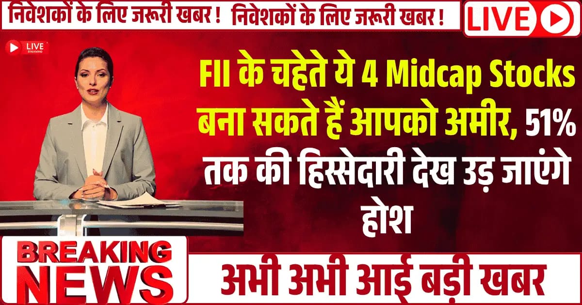 FII के चहेते ये 4 Midcap Stocks बना सकते हैं आपको अमीर, 51% तक की हिस्सेदारी देख उड़ जाएंगे होश